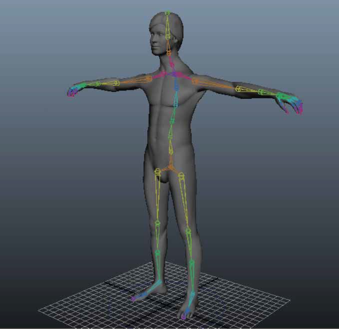 An avatar from the 3D body scan is merged with the motion capture 'skeleton'