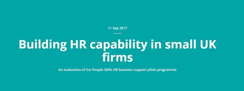 Building HR Capability In Small UK Firms