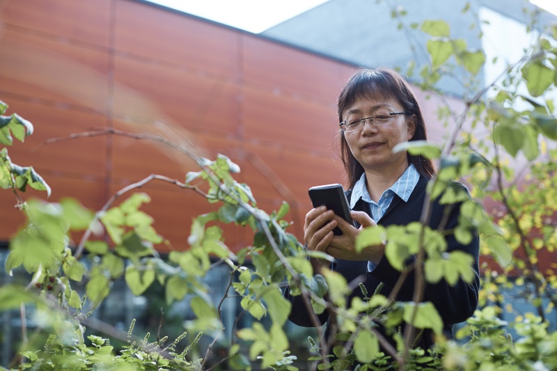 Professor Liangxiu Han demonstrates the Crop Disease Detector app