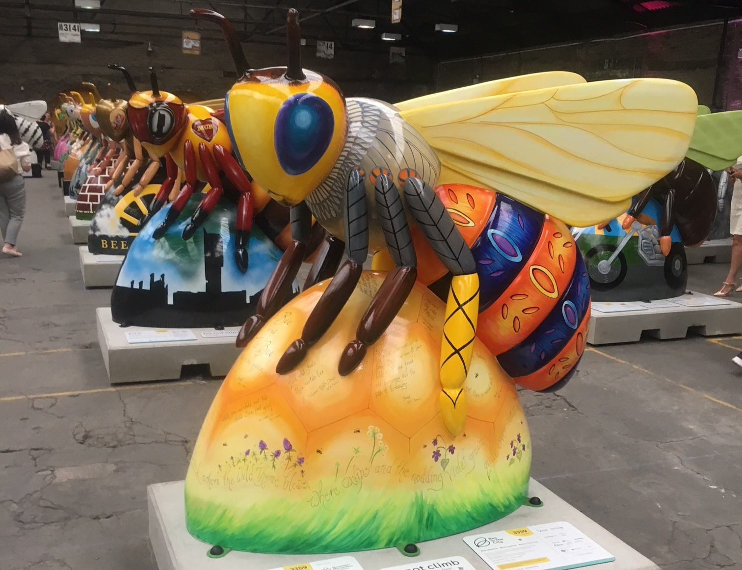 First glimpse of our Shakespeare bee!
