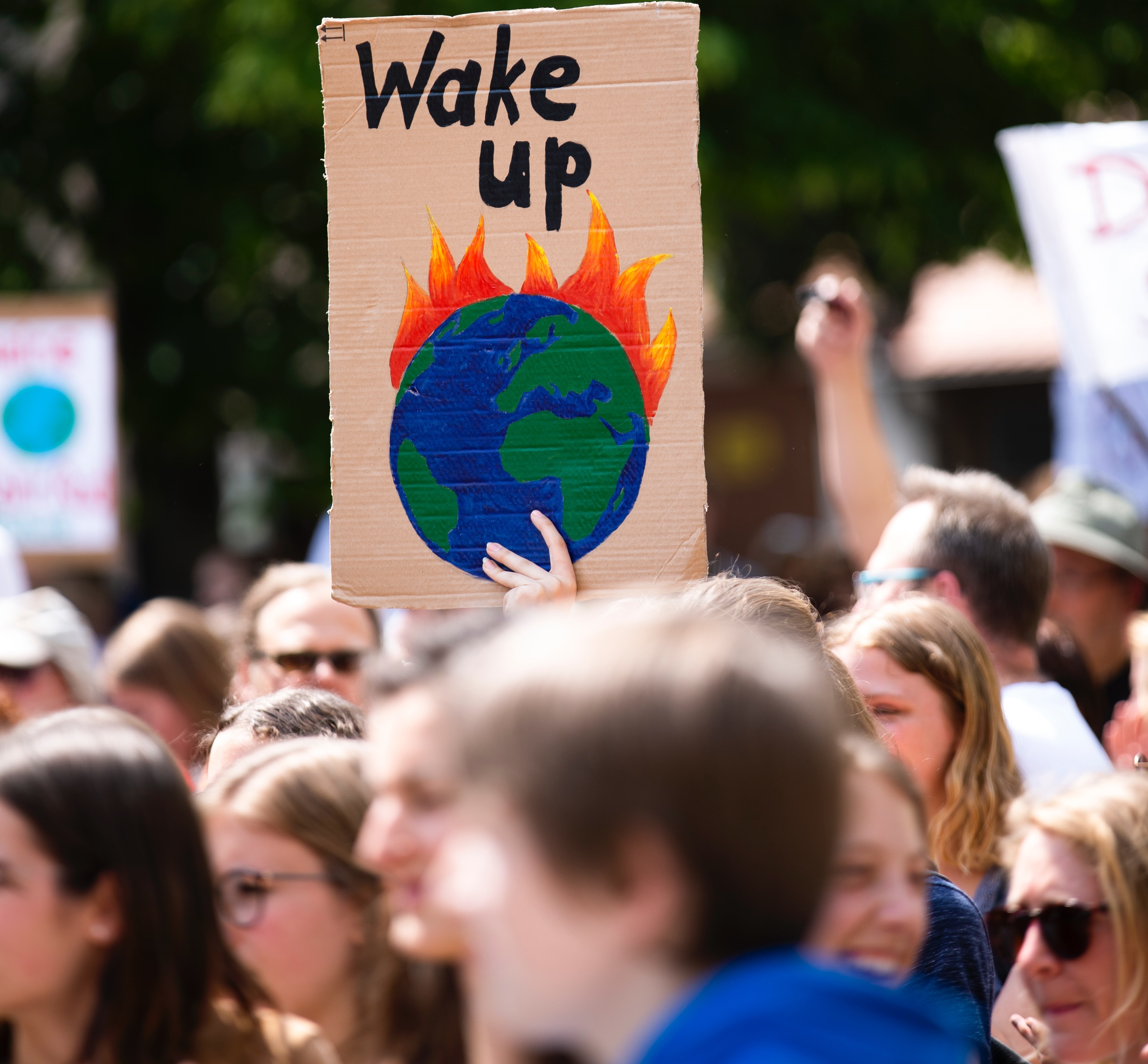 Imagination and Activism: Exploring Youth Literature and Youth Politics of the Climate Crisis