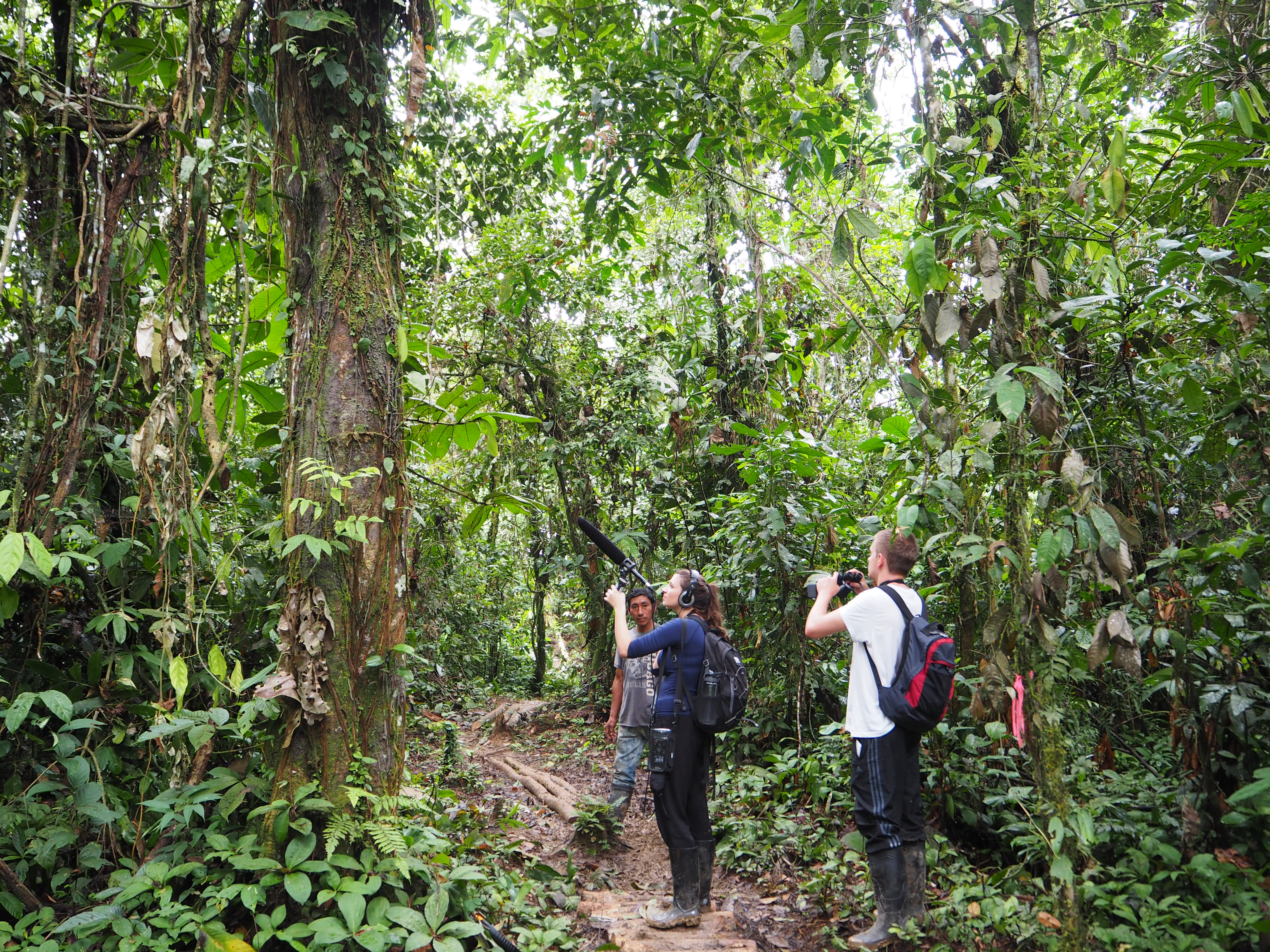 Researchers recording in a forest in Ecuador