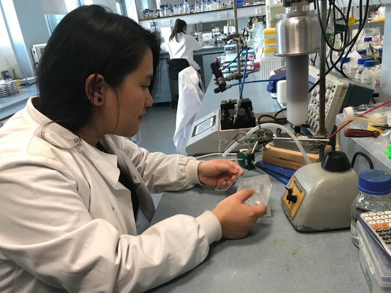 PhD student Laila Patinglag in the lab