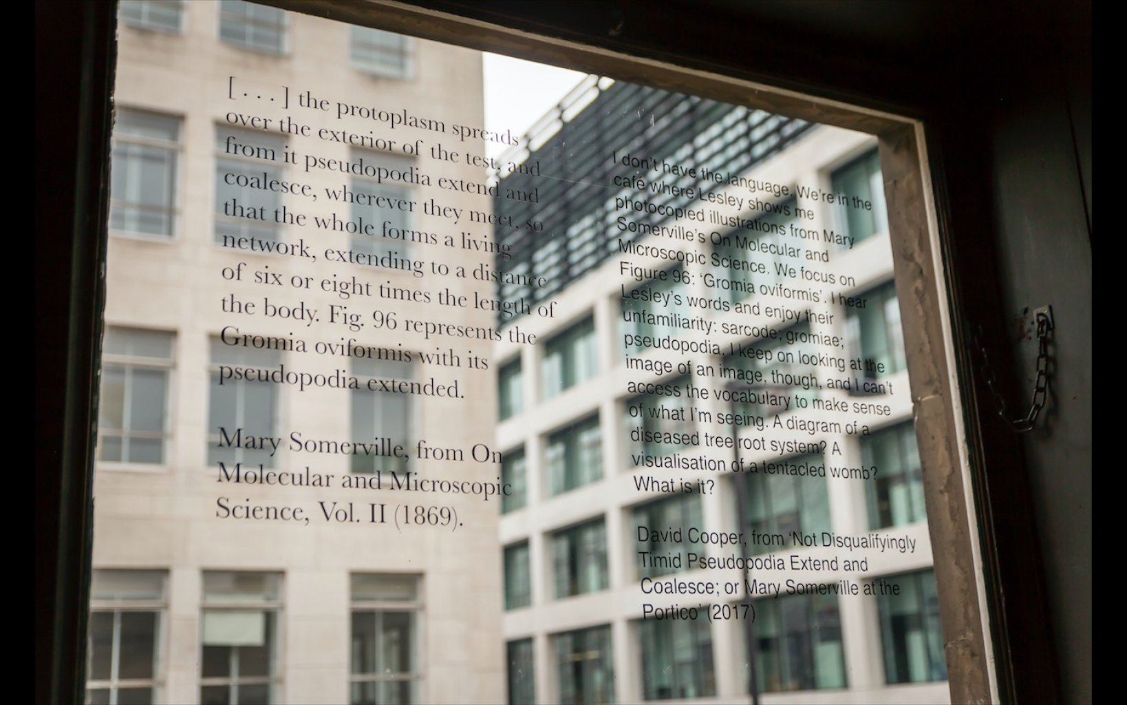 Window texts by Mary Somerville, 1869 and David Cooper, 2017.